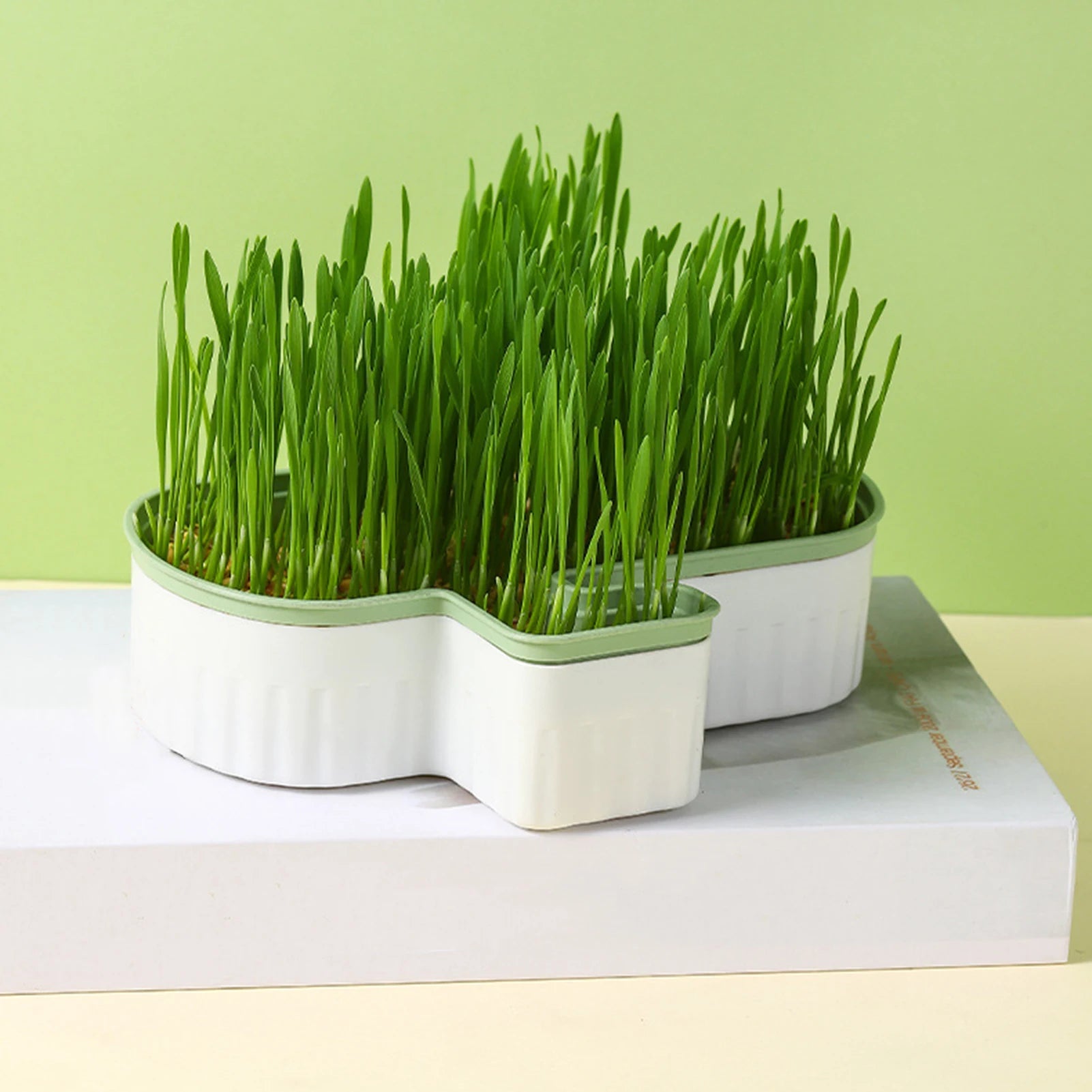 Cat Grass Nursery Pots Planter Soilless Hydroponic boxes Grass Planting Kit Nursery Box for Cats Pet Accessories