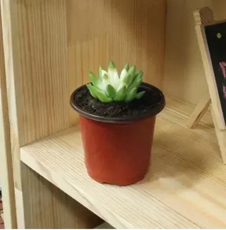 Flowerpot Plastic Grow Box Fall Resistant Tray For Home Garden Plants Nursery Cup Transplant Flower Plant Pots D4