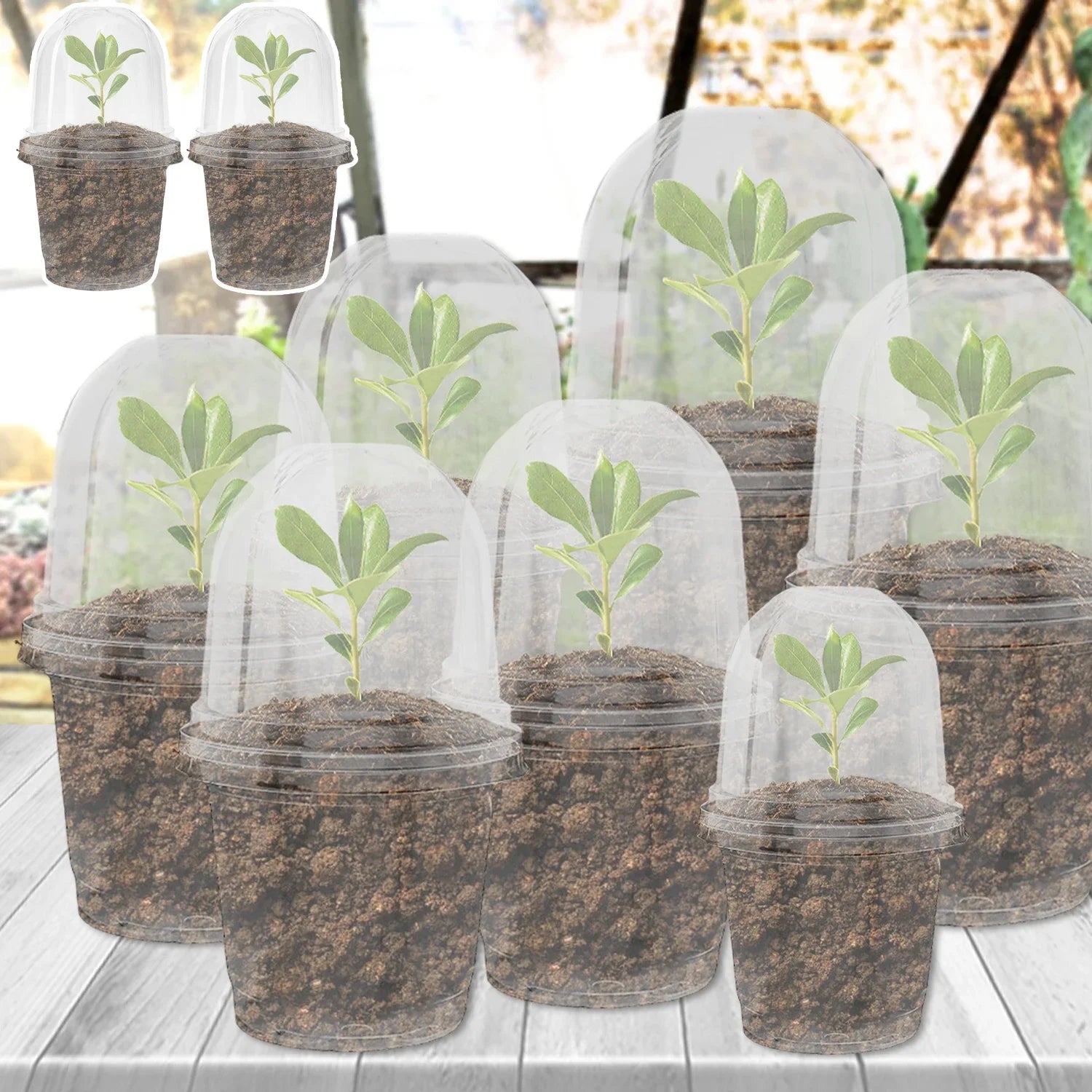 5Pcs Seedling Nursery Pots Transparent Pastic Flower Plant Seed Stater Cup with Cover Garden Mini Flowerpot Humidity Dome