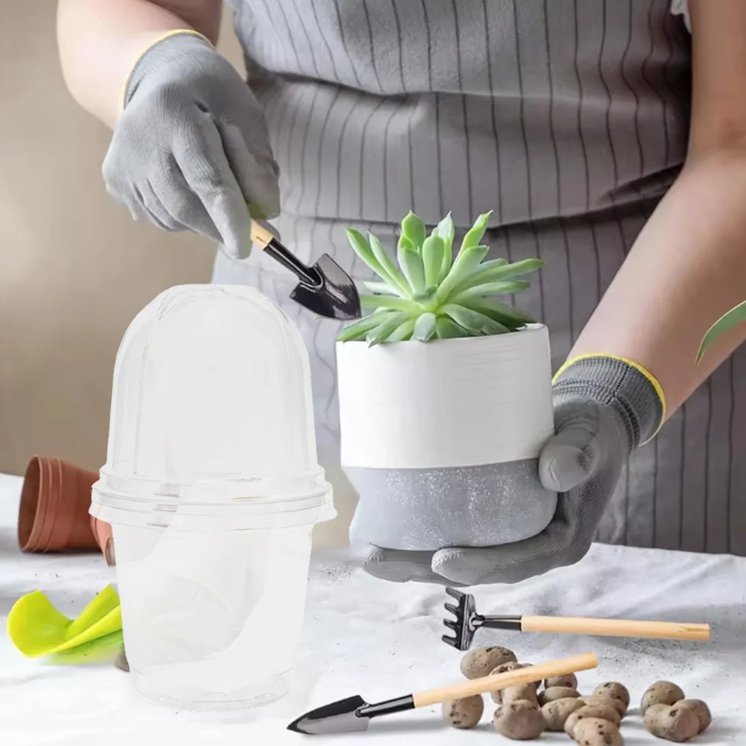 5Pcs Seedling Nursery Pots Transparent Pastic Flower Plant Seed Stater Cup with Cover Garden Mini Flowerpot Humidity Dome