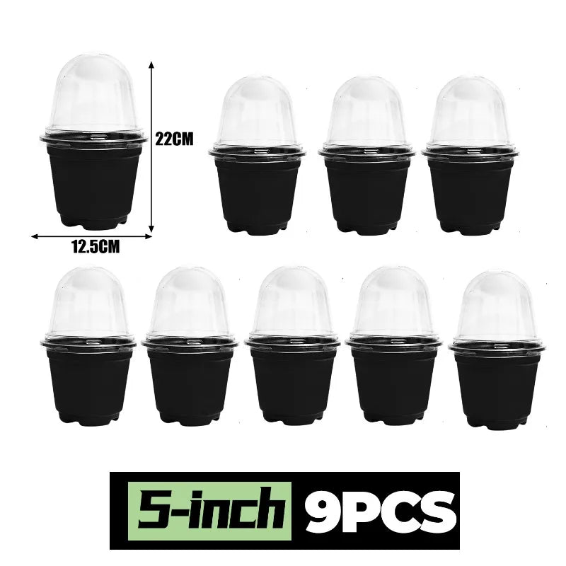 Plant Seedling Nutrition Cups Starting Grow Cup Flower Plant Container Mini Flowerpot Inside Succulents Gardening Box Planters