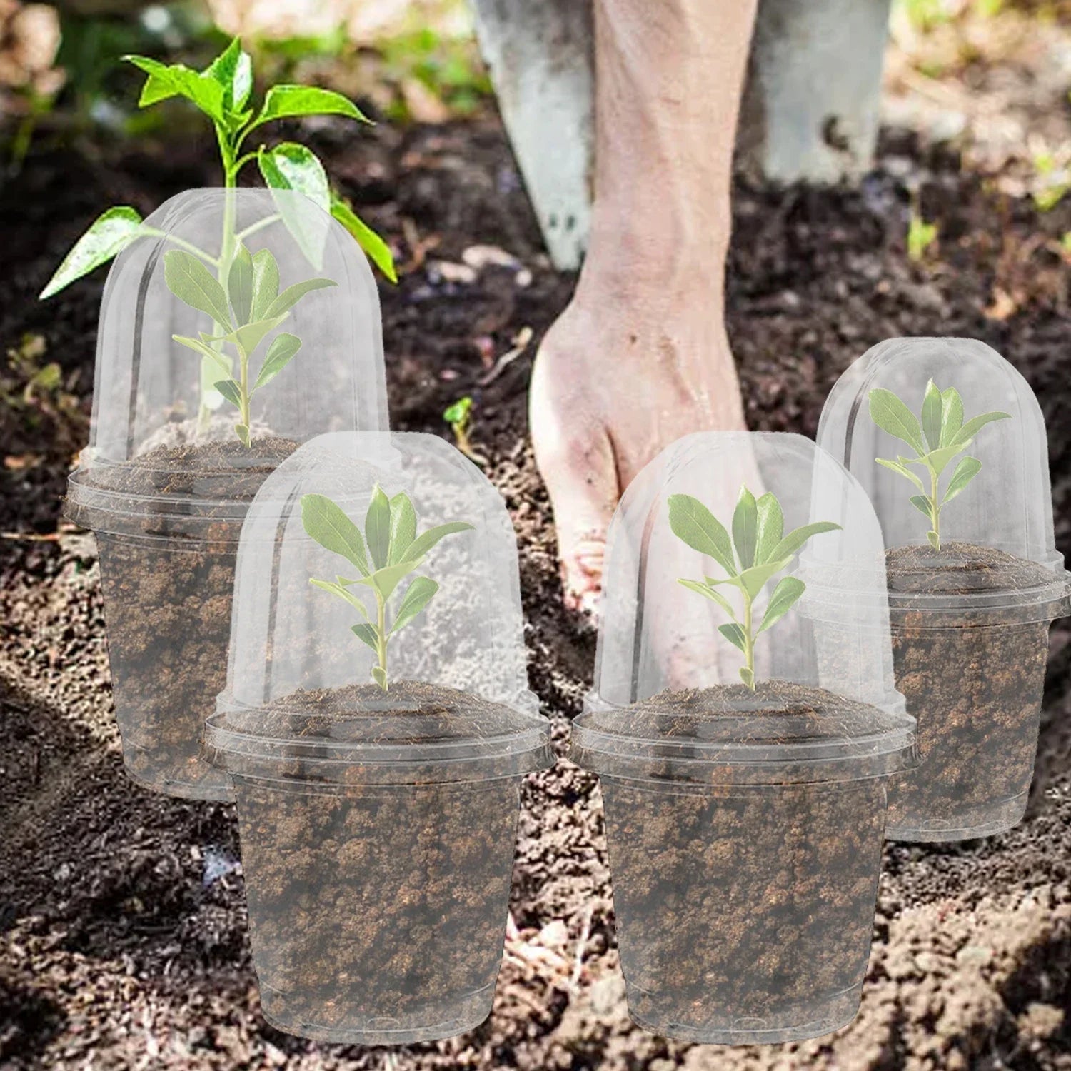 5Pcs Seedling Nursery Pots Transparent Pastic Flower Plant Seed Stater Cup with Cover Garden Mini Flowerpot Humidity Dome