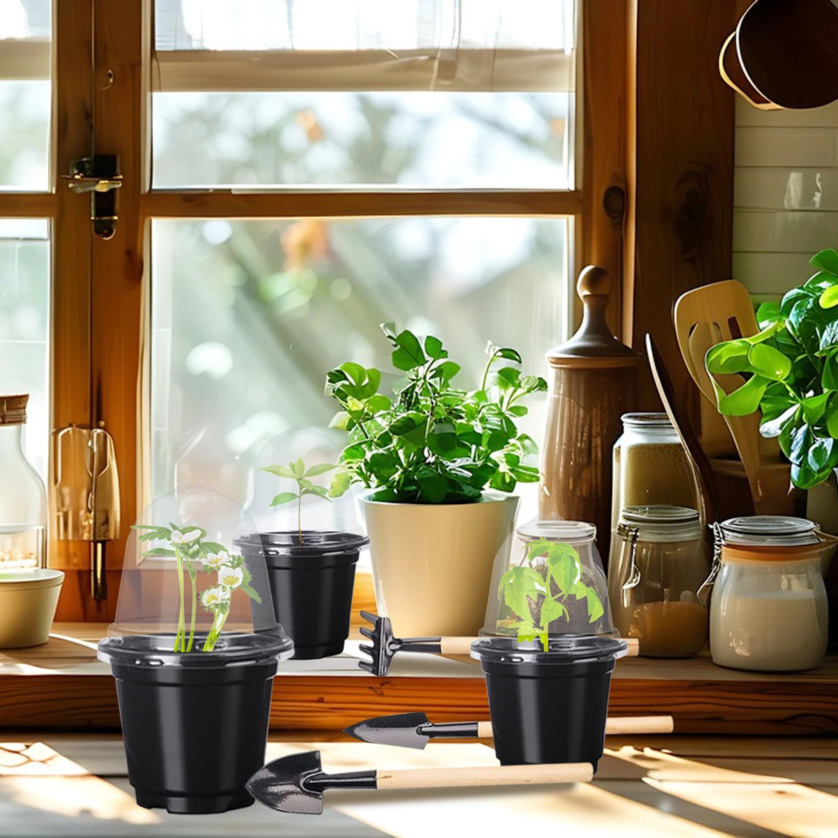 Plant Nursery Pots Humidity Dome Transparent Plastic Pot Planting Containers Cups Planter Small Seed Starting Trays Seedling