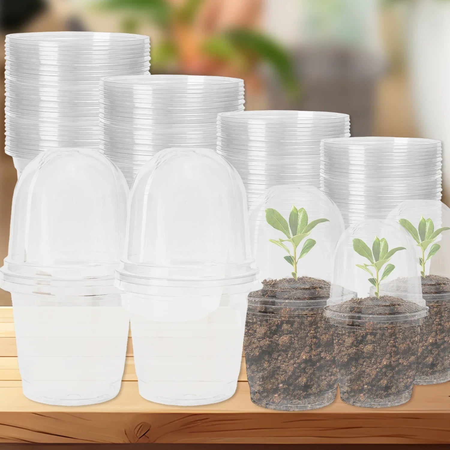 5Pcs Seedling Nursery Pots Transparent Pastic Flower Plant Seed Stater Cup with Cover Garden Mini Flowerpot Humidity Dome