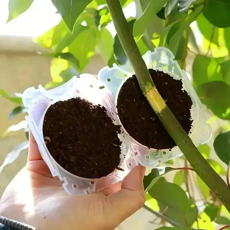 Plant Rooting Ball Propagation Root Box Reusable Plant Root Breeding Ball Garden Cuttings Grafting High Pressure Propagation Pot