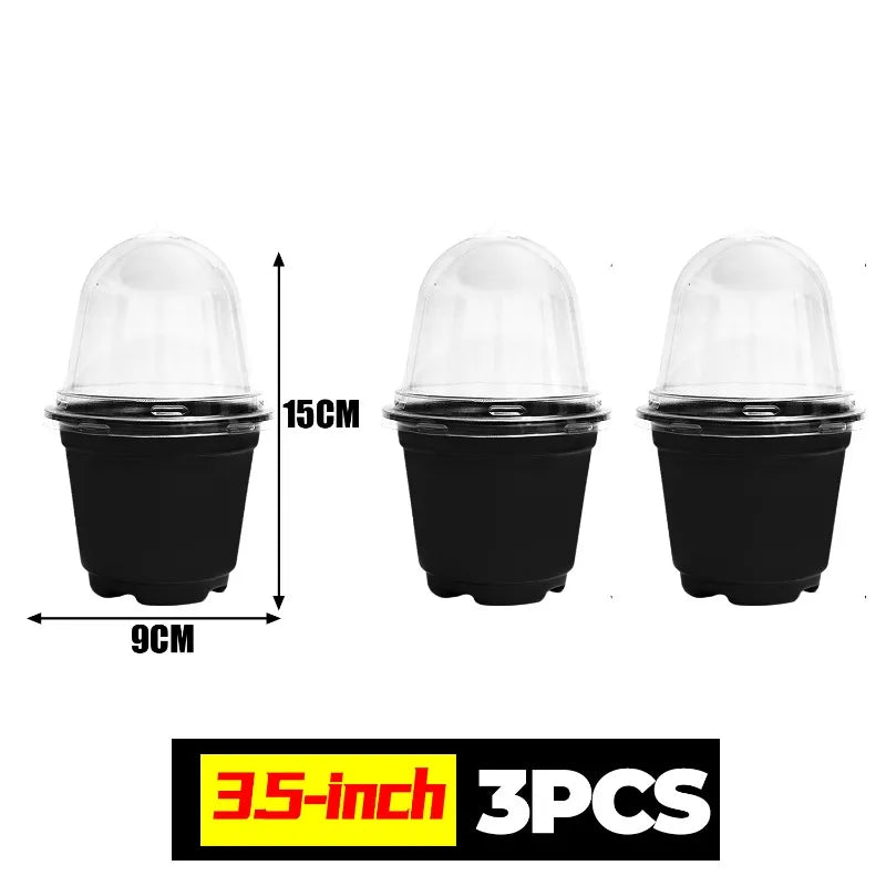 Plant Seedling Nutrition Cups Starting Grow Cup Flower Plant Container Mini Flowerpot Inside Succulents Gardening Box Planters