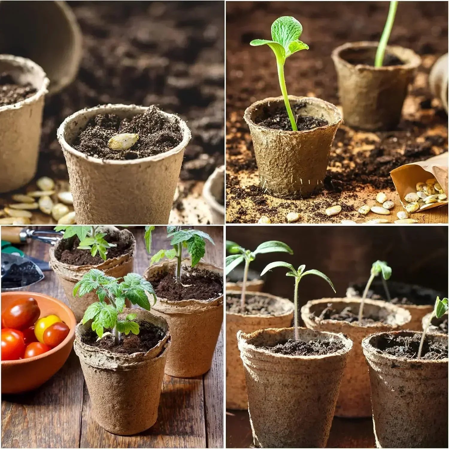 2025 Biodegradable Transplanter Pulp Paper Flower Plant Peat Pots Transplant Seedlings Pots Seed Germination Tray