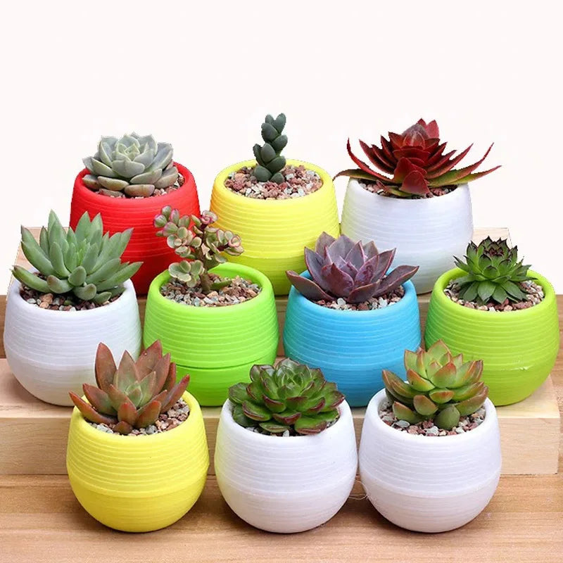 Succulent Plants Flower Pot Flower Pots Mini Desk Plants Succulents Pot Home Garden Decoration Nursery Pots Home Decor TMZ