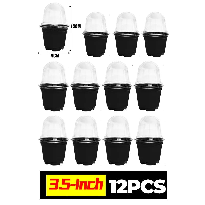 Plant Seedling Nutrition Cups Starting Grow Cup Flower Plant Container Mini Flowerpot Inside Succulents Gardening Box Planters