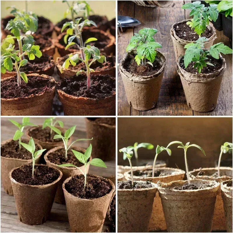 2025 Biodegradable Transplanter Pulp Paper Flower Plant Peat Pots Transplant Seedlings Pots Seed Germination Tray