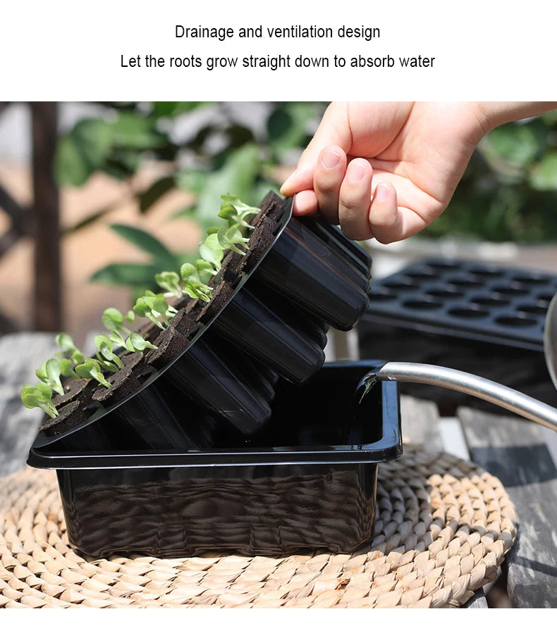 20 Hole Hydroponic Plant Seedling Pots with Intelligent Fill Light Seedling Tray for Fruit Vegetable Gardening Planting Supplies
