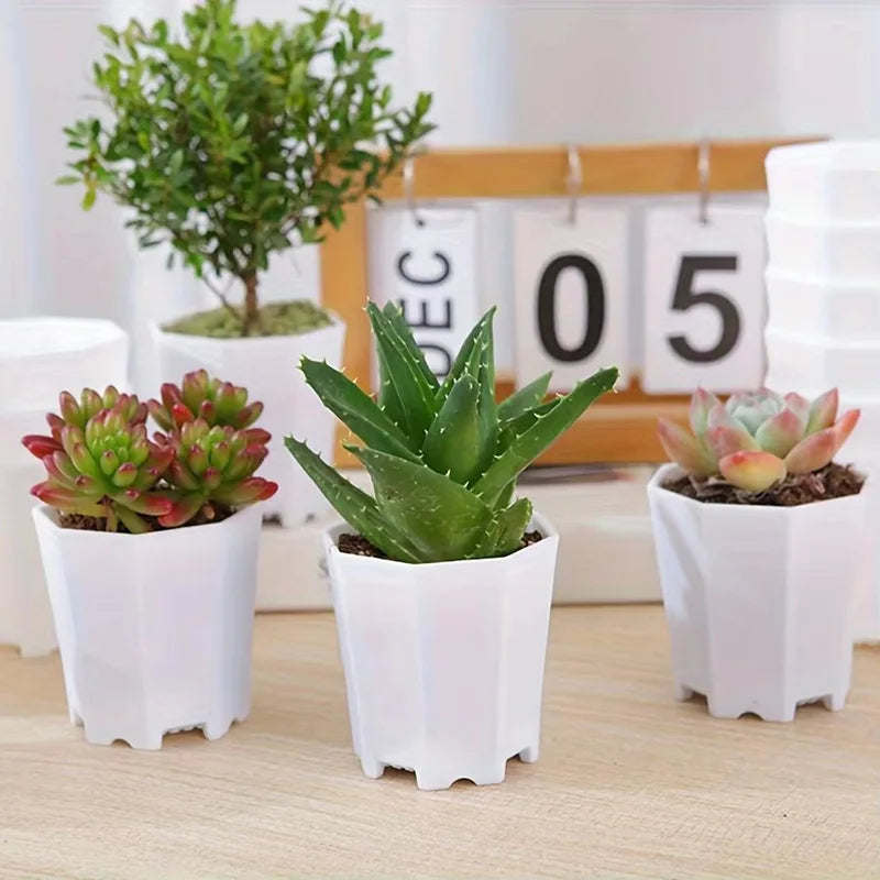 10/20pcs Octagonal Flower Pots Plastic White Planters with Drainage Holes for Indoor Outdoor Gardening Home Decor Succulents TMZ