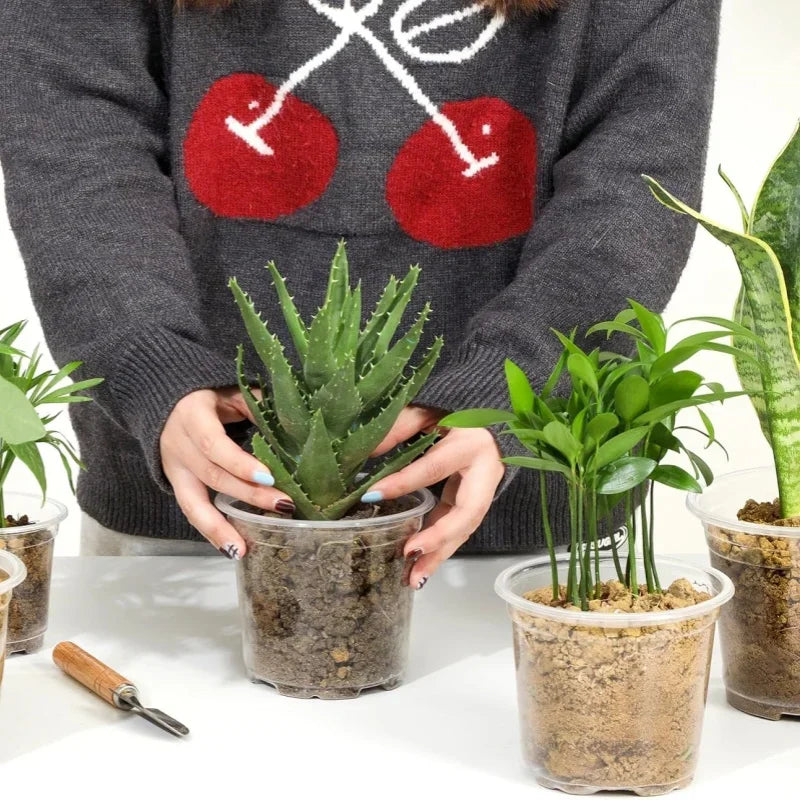 New 5PCS Round Seed Starter Tray Transparent Planter Nursery Pots With Drainage Hole For Orchid Plants Flowers Garden Tools