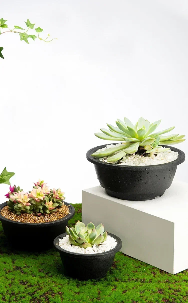 Large New Succulent Plant Pot Plastic Round Succulent Plant Pot Low Pot
