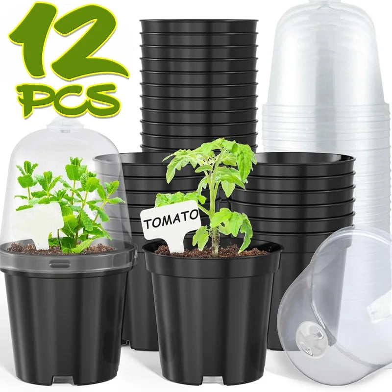 Plant Seedling Nutrition Cups Starting Grow Cup Flower Plant Container Mini Flowerpot Inside Succulents Gardening Box Planters