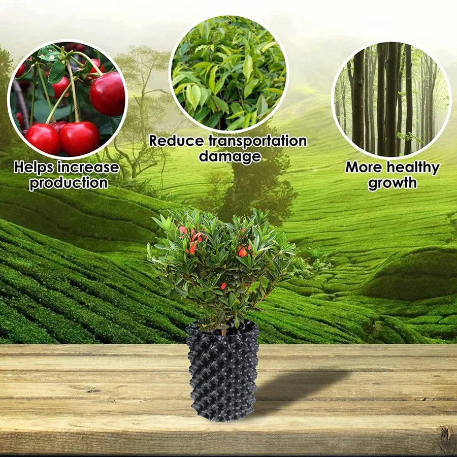 4 Packs Air Pruning Plant Root Control Nursery Pots Trainer Fast Root Grow Container Garden Bonsai Transplant Tool Nersery Pot