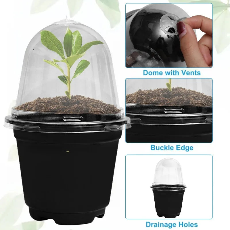 Plant Seedling Nutrition Cups Starting Grow Cup Flower Plant Container Mini Flowerpot Inside Succulents Gardening Box Planters