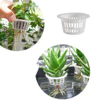 10Pcs Hydroponic Slotted Mesh Cup Basket Garden Plant Nursery Pot with Sponge Soildless Aeroponic Hydroponics Growing System Kit