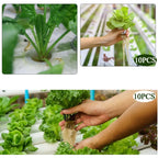 10Pcs Hydroponic Slotted Mesh Cup Basket Garden Plant Nursery Pot with Sponge Soildless Aeroponic Hydroponics Growing System Kit