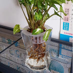 10Pcs Hydroponic Slotted Mesh Cup Basket Garden Plant Nursery Pot with Sponge Soildless Aeroponic Hydroponics Growing System Kit