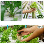 10Pcs Hydroponic Slotted Mesh Cup Basket Garden Plant Nursery Pot with Sponge Soildless Aeroponic Hydroponics Growing System Kit