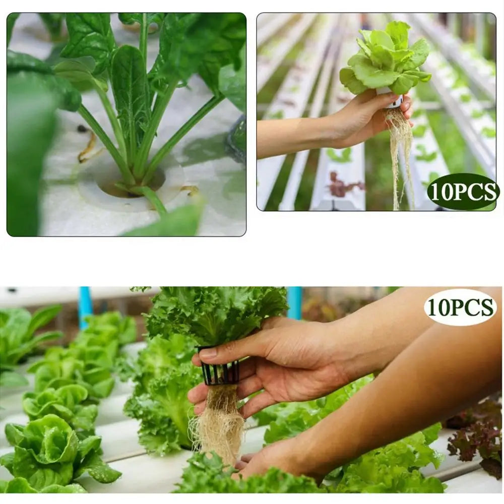 10Pcs Hydroponic Slotted Mesh Cup Basket Garden Plant Nursery Pot with Sponge Soildless Aeroponic Hydroponics Growing System Kit