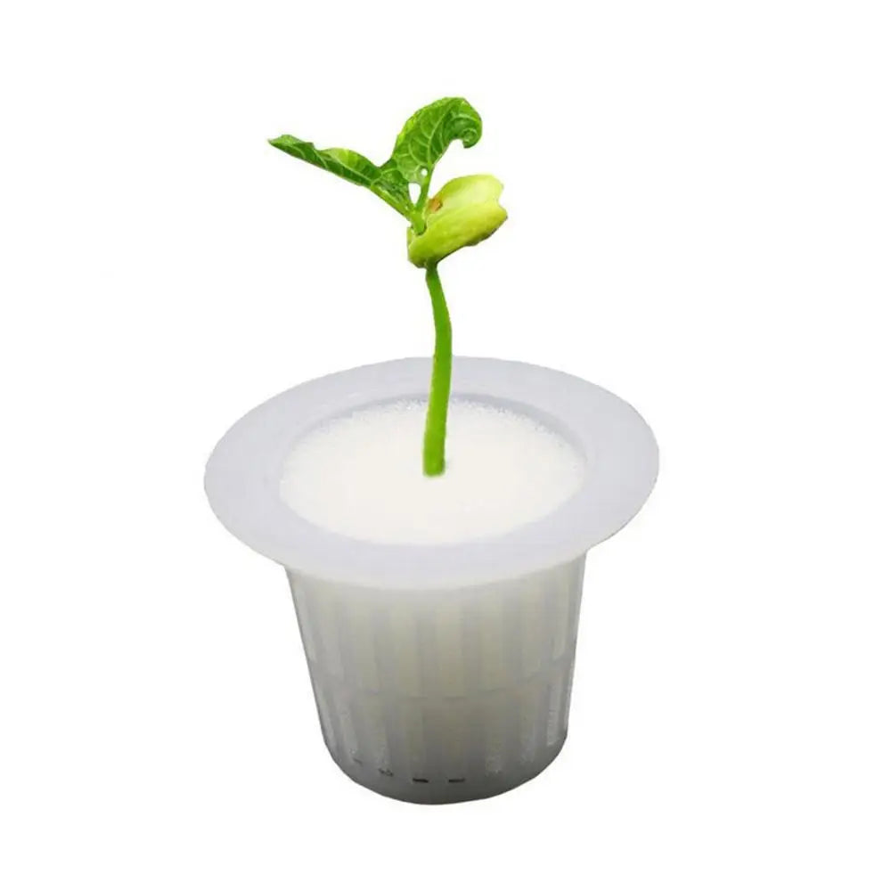 10Pcs Hydroponic Slotted Mesh Cup Basket Garden Plant Nursery Pot with Sponge Soildless Aeroponic Hydroponics Growing System Kit