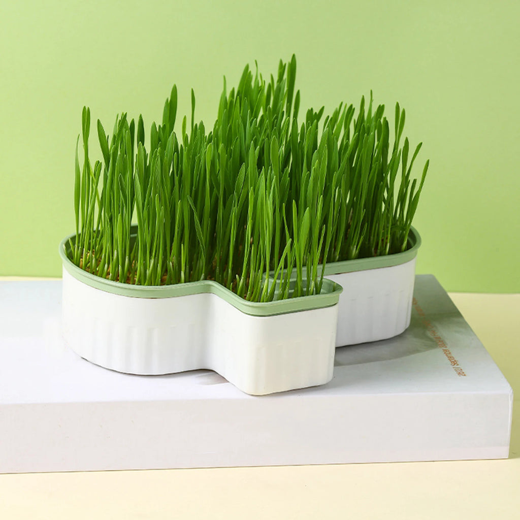 Cat Grass Nursery Pots Planter Soilless Hydroponic boxes Grass Planting Kit Nursery Box for Cats Pet Accessories