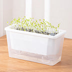 Self Watering Planter Flowerpot Indoor Succulent Hydroponic Plants Window Planter Box Bottom Watering Pots Indoor Flower Pot