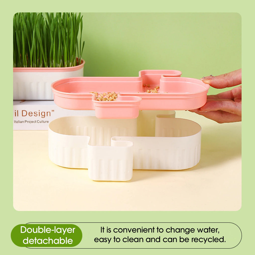 Cat Grass Nursery Pots Planter Soilless Hydroponic boxes Grass Planting Kit Nursery Box for Cats Pet Accessories