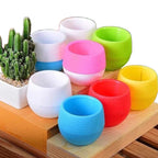 Succulent Plants Flower Pot Flower Pots Mini Desk Plants Succulents Pot Home Garden Decoration Nursery Pots Home Decor TMZ