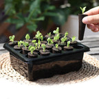 20 Hole Hydroponic Plant Seedling Pots with Intelligent Fill Light Seedling Tray for Fruit Vegetable Gardening Planting Supplies