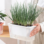 Self Watering Planter Flowerpot Indoor Succulent Hydroponic Plants Window Planter Box Bottom Watering Pots Indoor Flower Pot