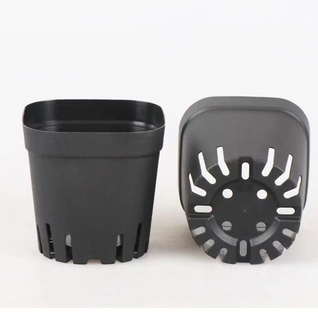50Pcs Seedling Pots Square Plant Seeding- Planting Cup Plastic Deep Nursery Tree Pot Flower Plant Container Pot Garden Grow