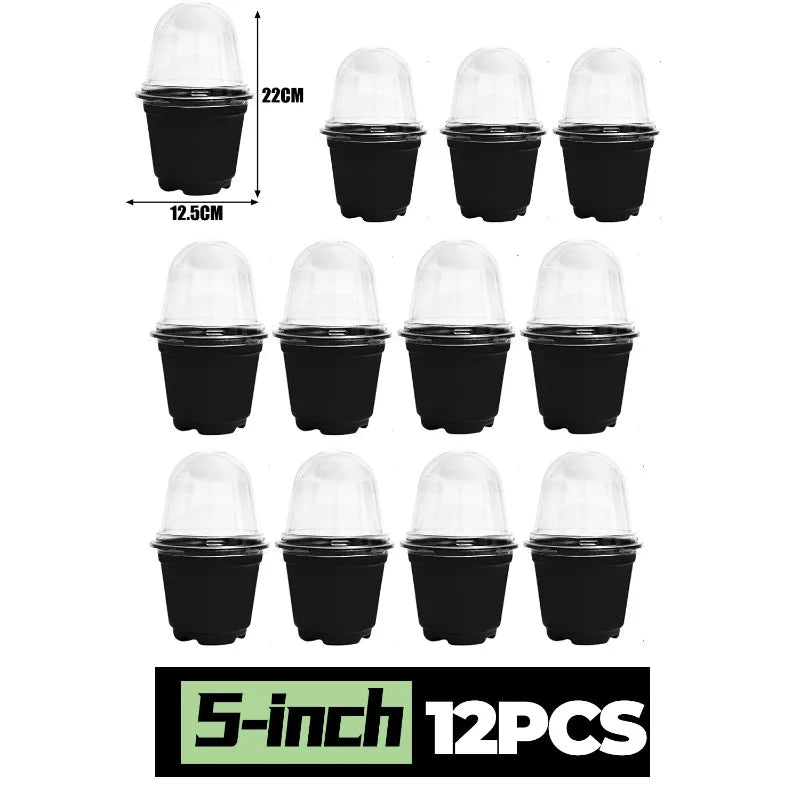 Plant Seedling Nutrition Cups Starting Grow Cup Flower Plant Container Mini Flowerpot Inside Succulents Gardening Box Planters