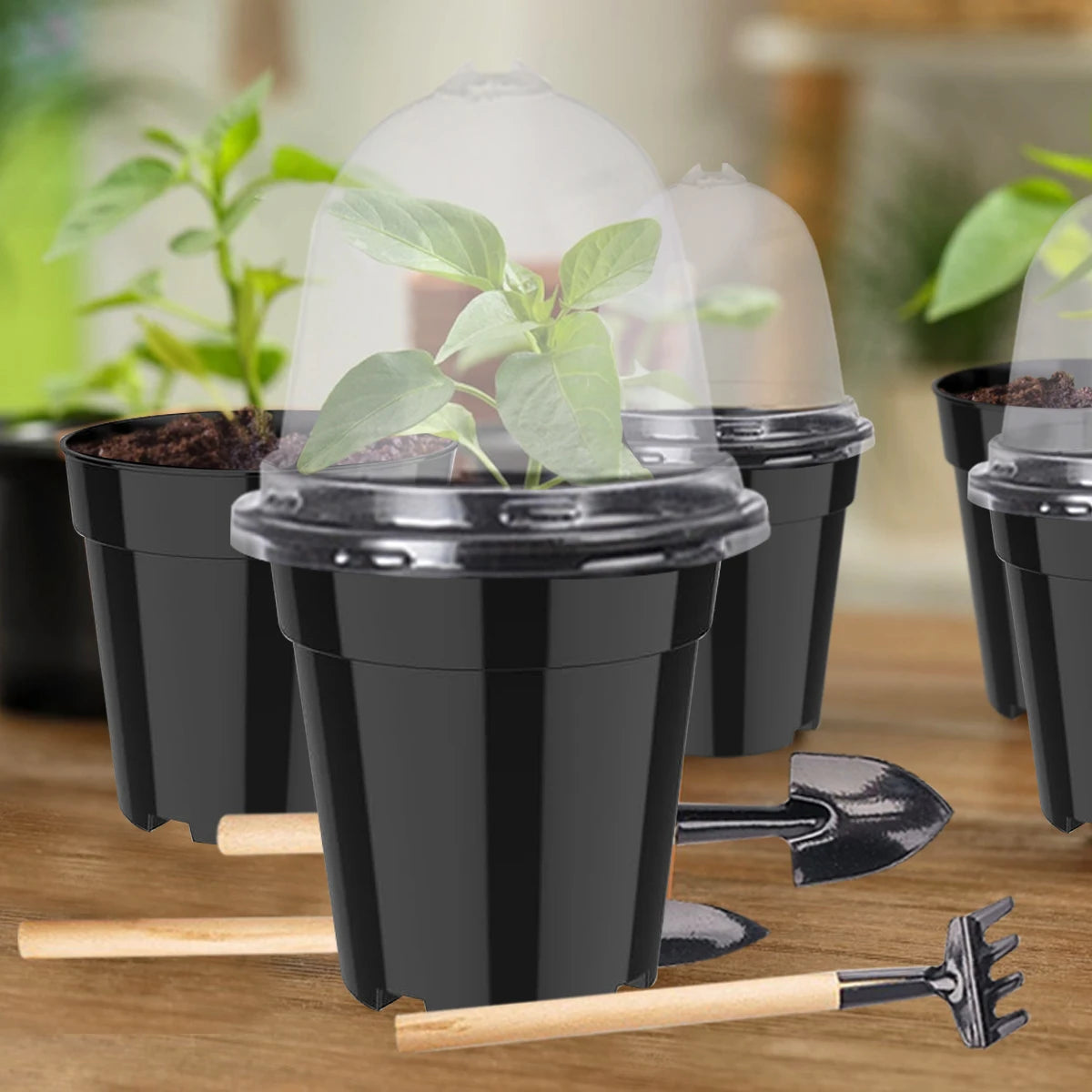 Plant Nursery Pots Humidity Dome Transparent Plastic Pot Planting Containers Cups Planter Small Seed Starting Trays Seedling