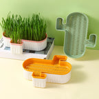 Cat Grass Nursery Pots Planter Soilless Hydroponic boxes Grass Planting Kit Nursery Box for Cats Pet Accessories