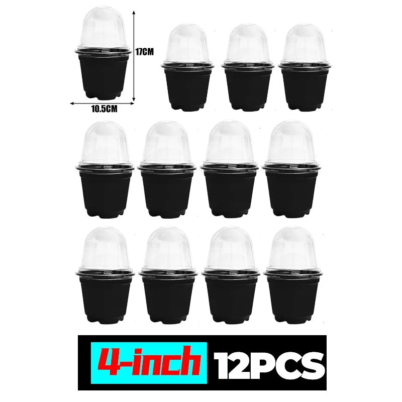 Plant Seedling Nutrition Cups Starting Grow Cup Flower Plant Container Mini Flowerpot Inside Succulents Gardening Box Planters