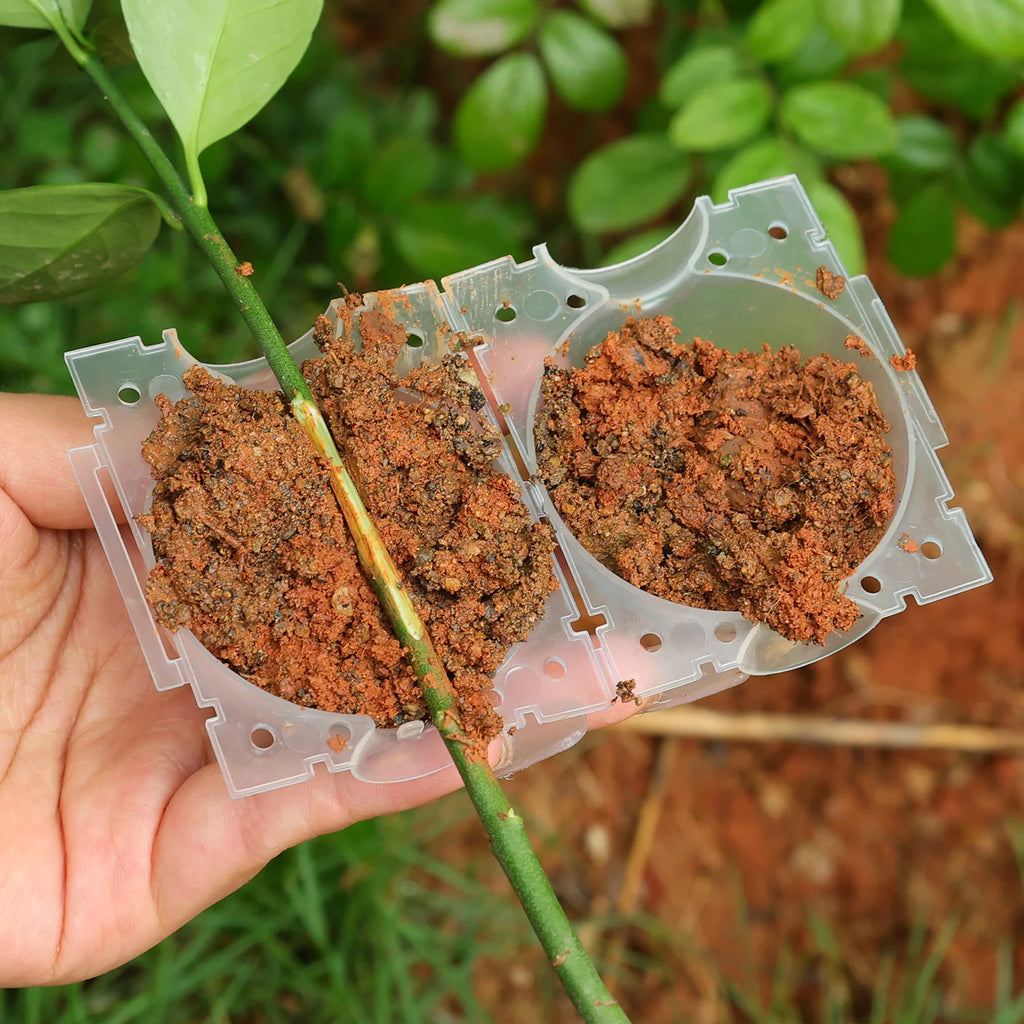 Plant Rooting Ball Propagation Root Box Reusable Plant Root Breeding Ball Garden Cuttings Grafting High Pressure Propagation Pot