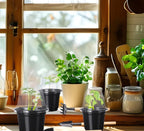 Plant Seedling Nutrition Cups Starting Grow Cup Flower Plant Container Mini Flowerpot Inside Succulents Gardening Box Planters