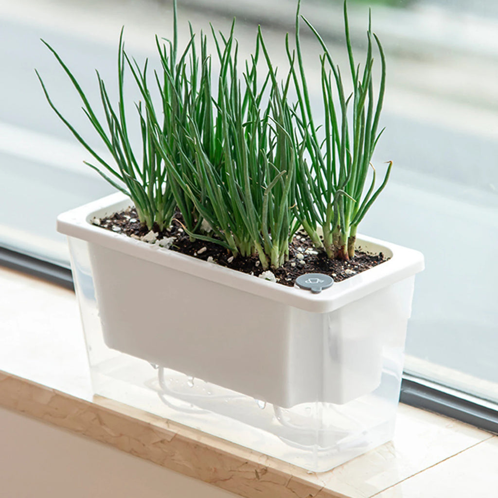 Self Watering Planter Flowerpot Indoor Succulent Hydroponic Plants Window Planter Box Bottom Watering Pots Indoor Flower Pot