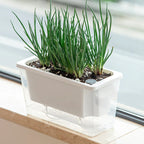 Self Watering Planter Flowerpot Indoor Succulent Hydroponic Plants Window Planter Box Bottom Watering Pots Indoor Flower Pot