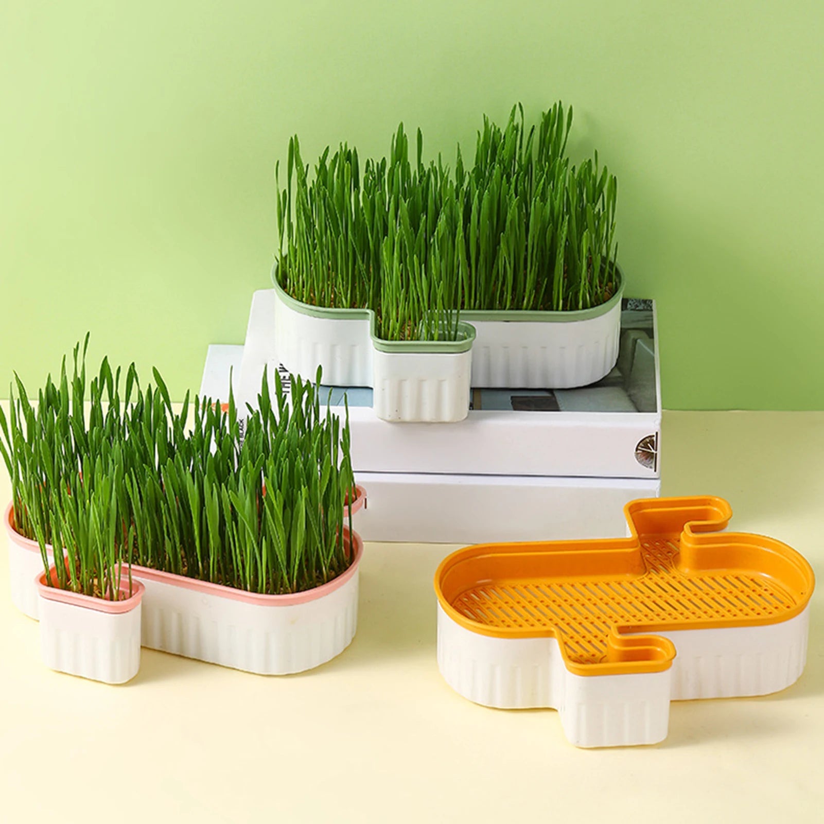 Cat Grass Nursery Pots Planter Soilless Hydroponic boxes Grass Planting Kit Nursery Box for Cats Pet Accessories