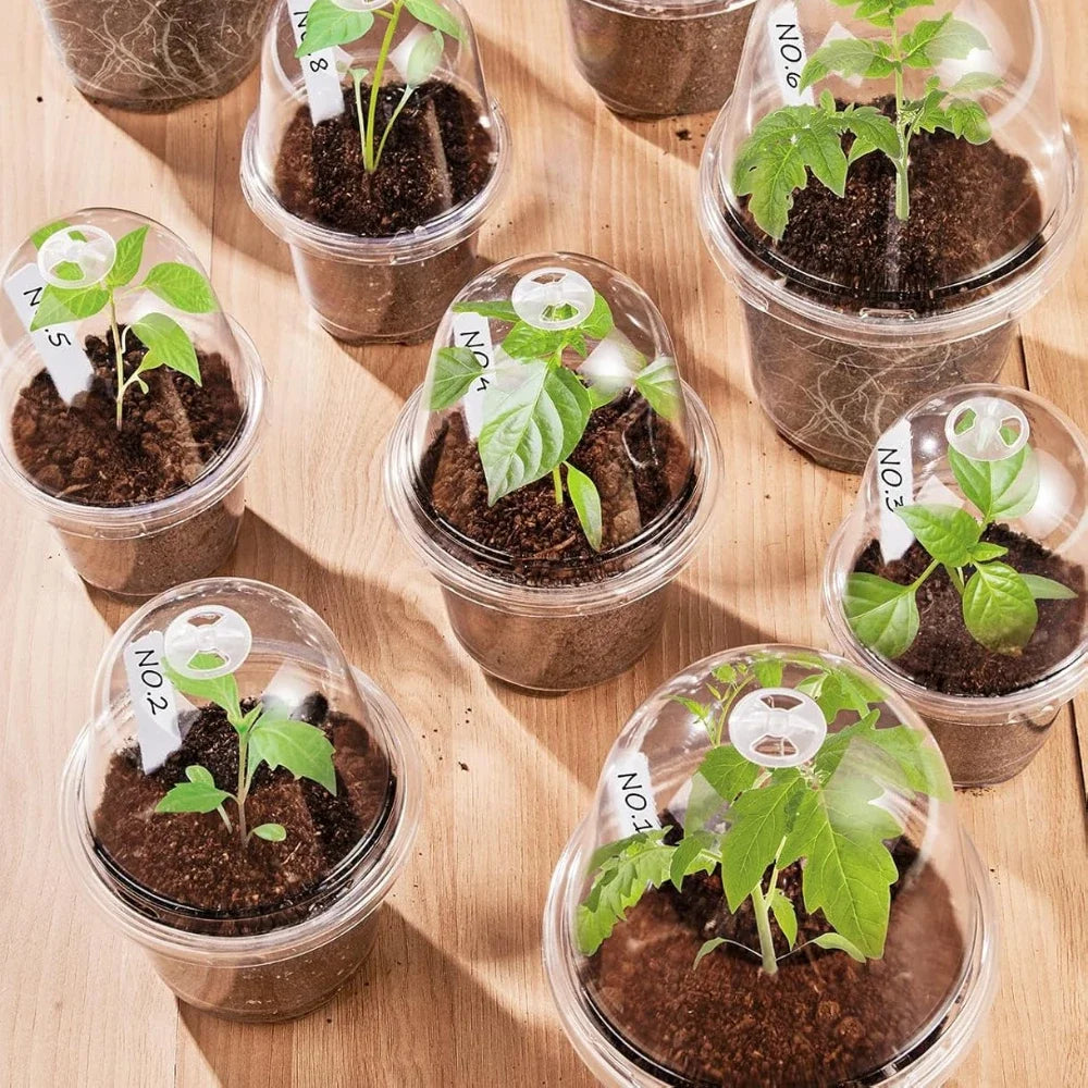 5Pcs Seedling Nursery Pots Transparent Pastic Flower Plant Seed Stater Cup with Cover Garden Mini Flowerpot Humidity Dome