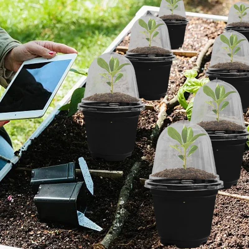 Plant Seedling Nutrition Cups Starting Grow Cup Flower Plant Container Mini Flowerpot Inside Succulents Gardening Box Planters