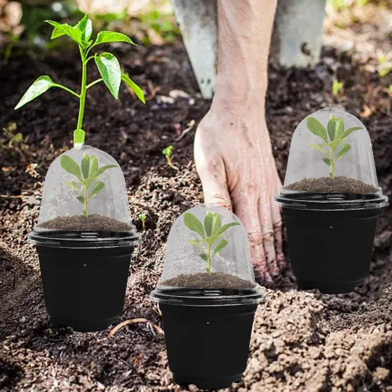 Plant Seedling Nutrition Cups Starting Grow Cup Flower Plant Container Mini Flowerpot Inside Succulents Gardening Box Planters