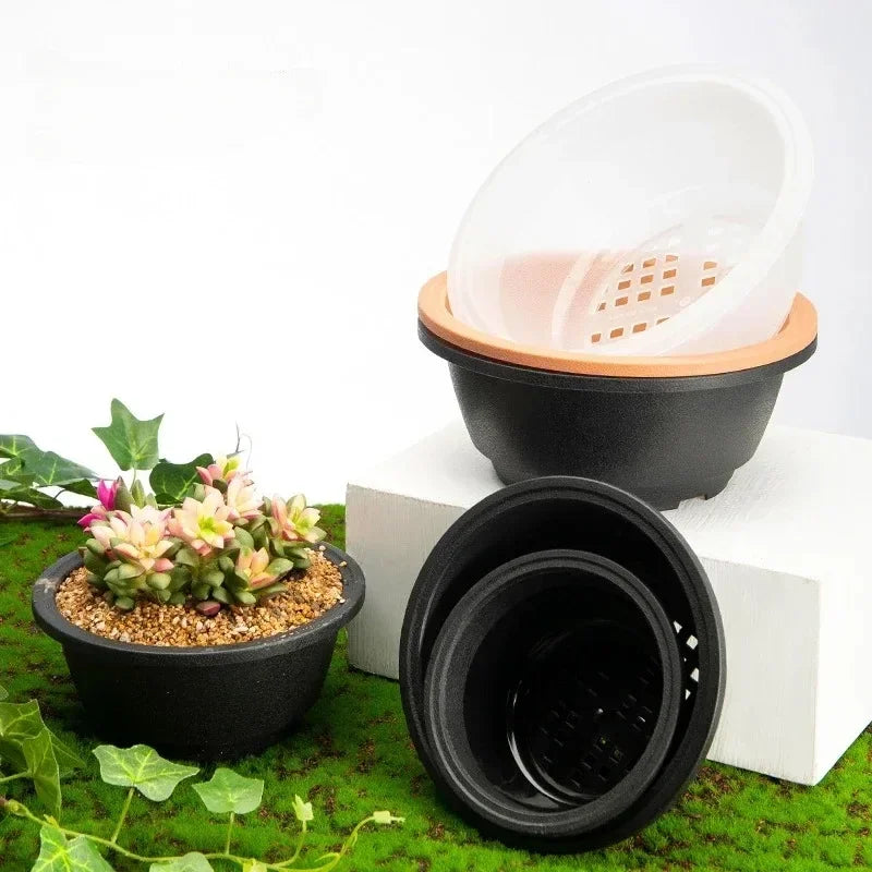 Large New Succulent Plant Pot Plastic Round Succulent Plant Pot Low Pot