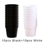 20 PCS Mini Seedling Pot Set Round Plastic Flowerpot Nursery with Drainage Holes Useful Garden Accessories Seedling Supplies ZYF