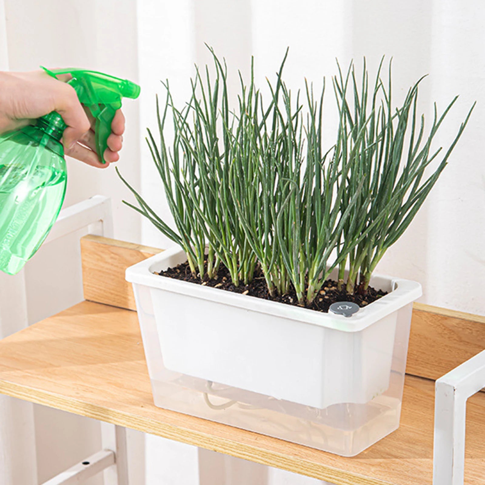 Self Watering Planter Flowerpot Indoor Succulent Hydroponic Plants Window Planter Box Bottom Watering Pots Indoor Flower Pot