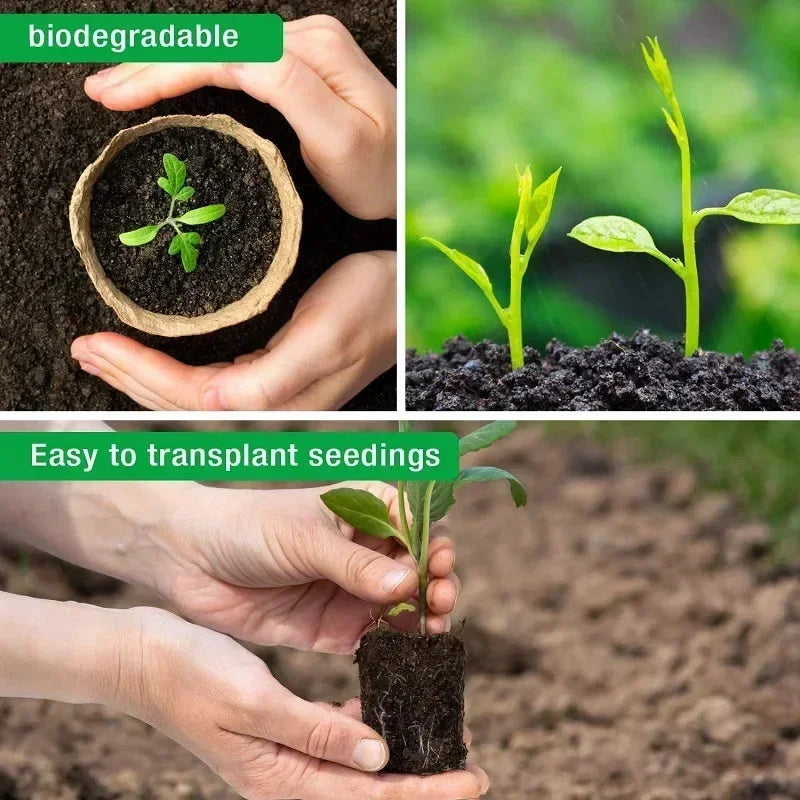 2025 Biodegradable Transplanter Pulp Paper Flower Plant Peat Pots Transplant Seedlings Pots Seed Germination Tray